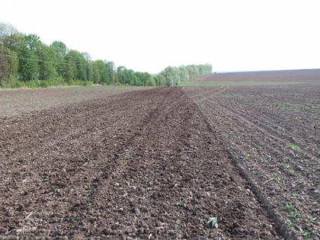 Борона дискова легка причіпна БДЛП-8,0 з прикотуючим катком у комлектації з хвилястими дисками