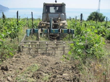 Чизелі-глибокорозпушувачами серії ЧГ