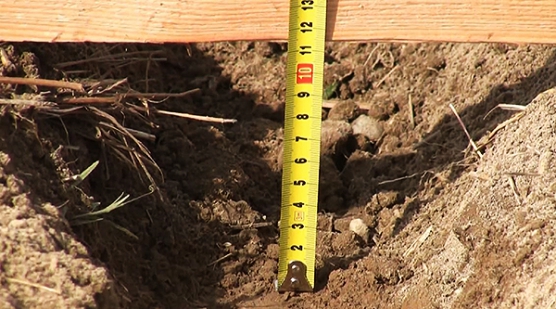 Дискатор Д-10